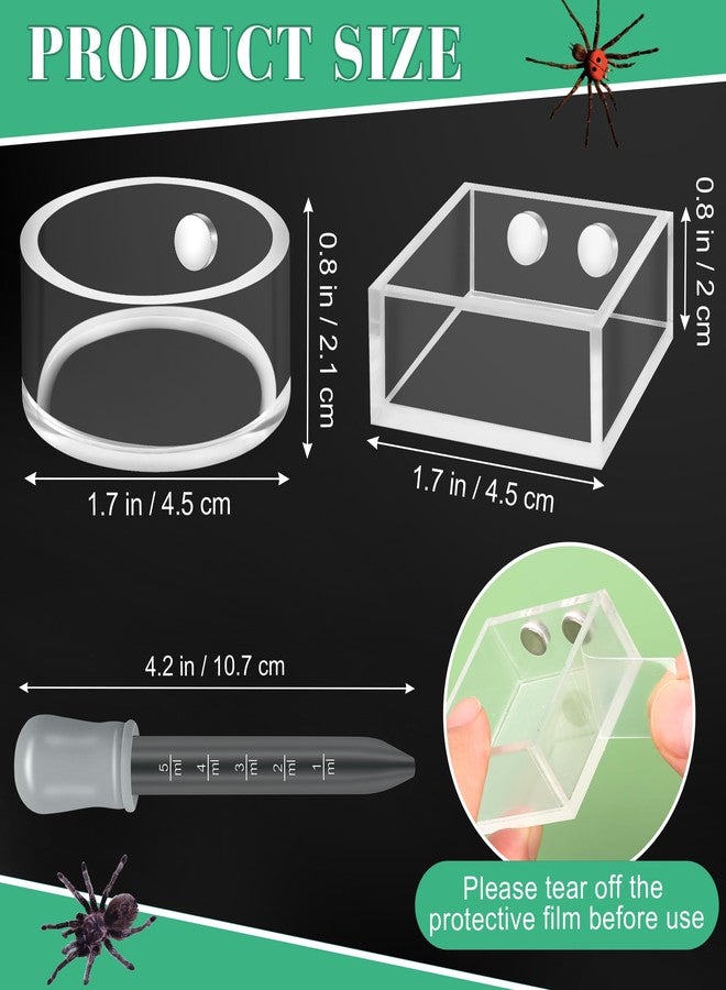 Windspeed 2+1P 1.8 in Mini Jumping Spider Feeding Dish Magnet Tarantula Water Bowl for Spider Feeder Water Dish for Tarantula Tank Enclosure Accessories, with A Dropper - Image 2